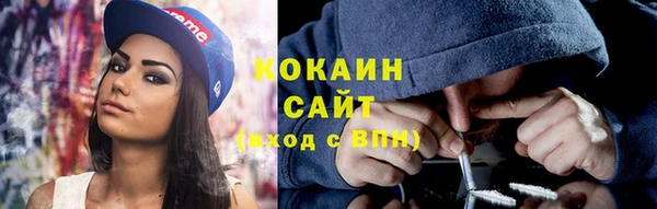 прущие грибы Гусиноозёрск