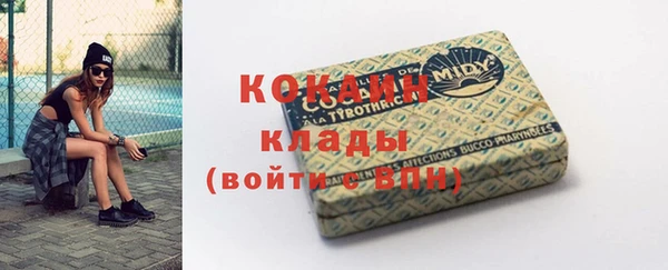 прущие грибы Гусиноозёрск