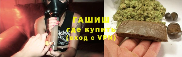 прущие грибы Гусиноозёрск