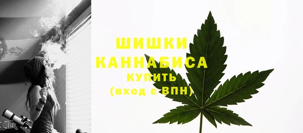 прущие грибы Гусиноозёрск