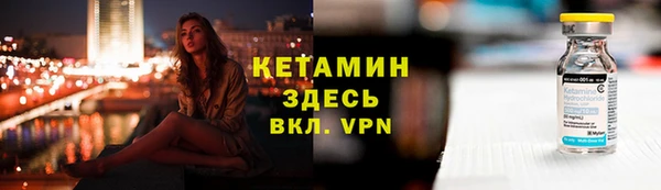 прущие грибы Гусиноозёрск