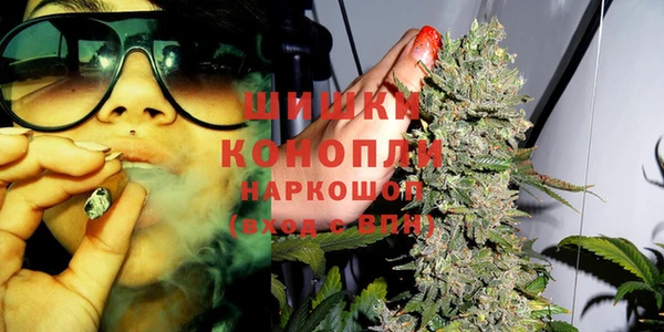 прущие грибы Гусиноозёрск