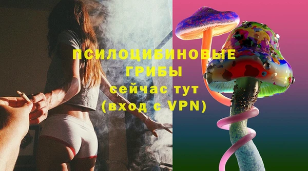 jwh Гусев