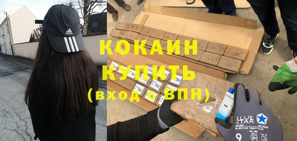 прущие грибы Гусиноозёрск