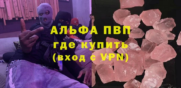 прущие грибы Гусиноозёрск