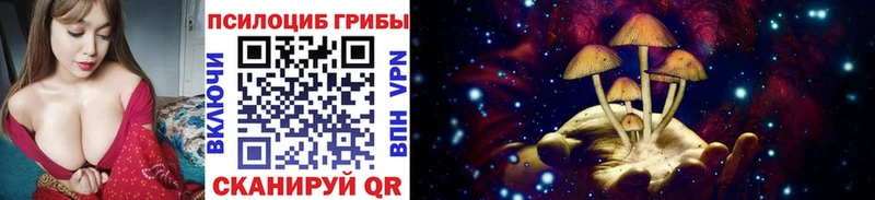 Купить  Радужный  Псилоцибиновые грибы Magic Shrooms 